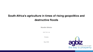 South African agriculture in times of rising geopolitics and floods with Wandile Sihlobo
